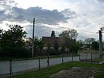 Třibřichy